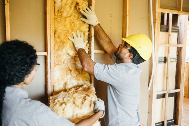 Best Attic Insulation Installation  in Pond Creek, OK